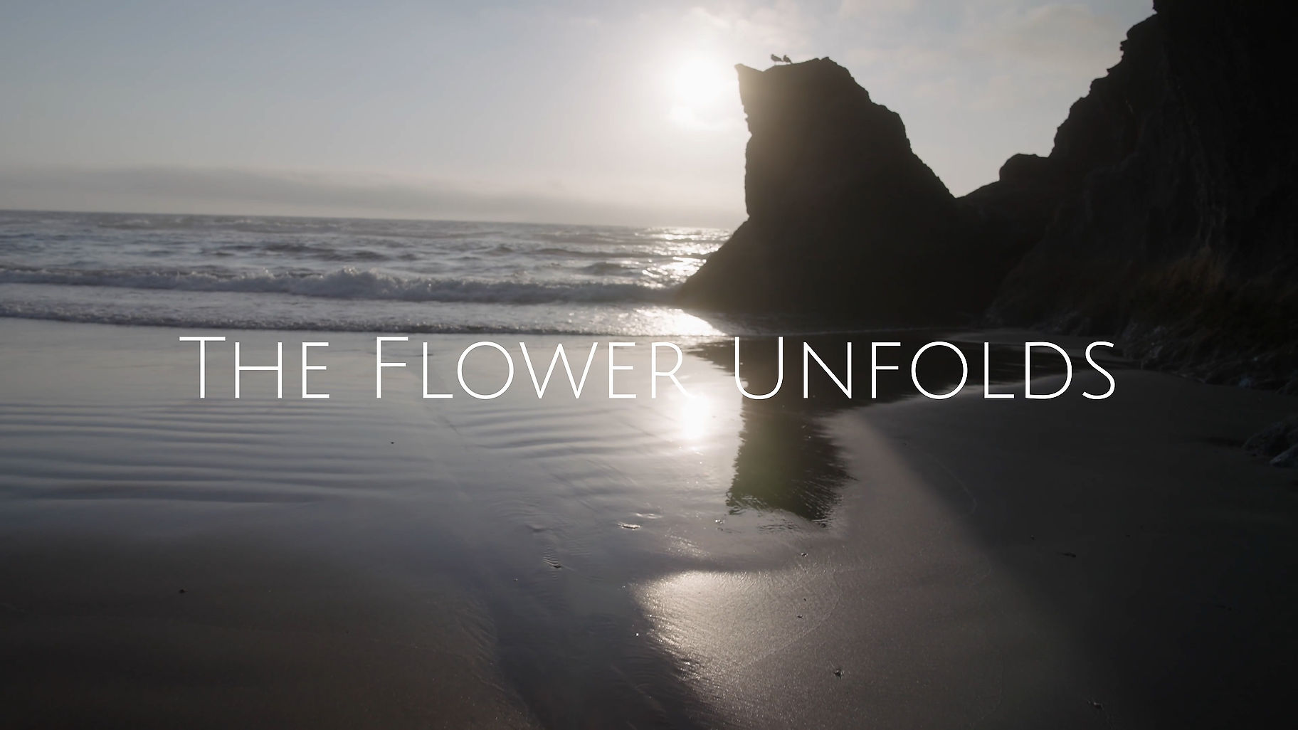 The Flower Unfolds (Starring Terrence Howard) - Opener
